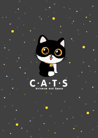 Cats Universe Space Gray