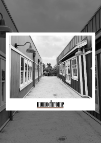 monochrome photograph 57