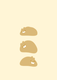 軟軟的黃色貓咪