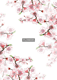 water color flowers_594