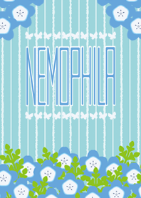Spring flower_Nemophila