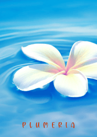 PLUMERIA - HAWAIIAN SEA 11
