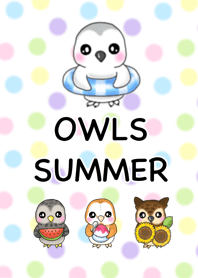 Owls summer #pop