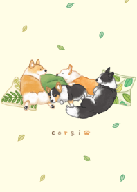 ほっこり コーギー