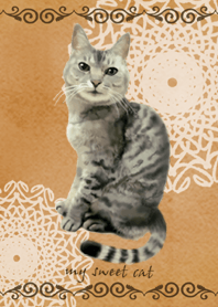 My sweet cat