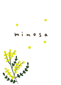 ミモザ。シンプル。春。