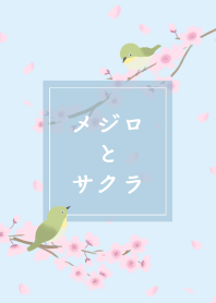 white-eye & cherry blossoms(blue)