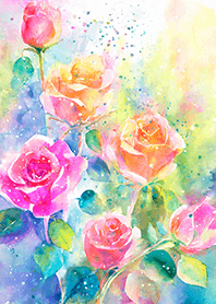 Beautiful rose flower(R1349)