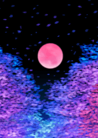 夜桜と月