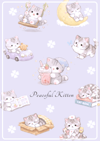 purple, laid-back mackerel tabby kitten