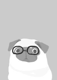 Glasses dog