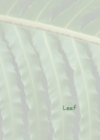 Leaf Theme 3