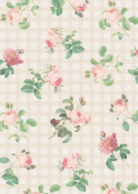 ลายสก็อตกุหลาบ2