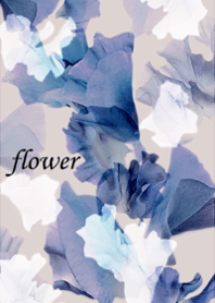 Sweet pea, full of clarity.17.