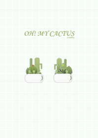 Little garden of cactus