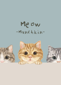 Meow - Munchkin - BLUE GRAY