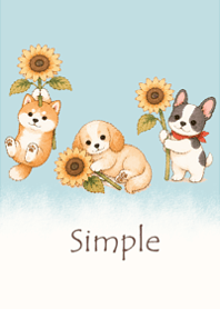 Sunflowers and a dog5