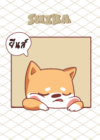 ยีนส์ ใครไม่บะ ชิบะ 4 V12