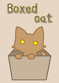 Boxed cat e brown