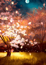 Beautiful night cherry blossoms#1137