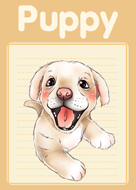 Puppy Cute Dog