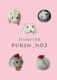 Hamster purin_n02