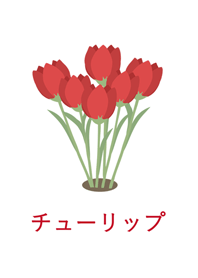 Simple classic- Red tulip