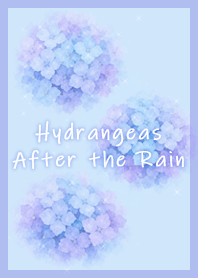 Hydrangea Warna Embun