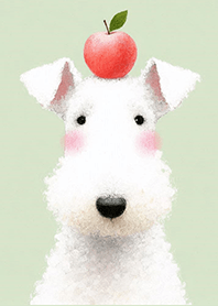 臉紅紅的獵狐梗與蘋果