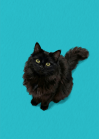 Black Cat Sea Green theme.