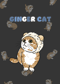 gingercat10 - carbon black