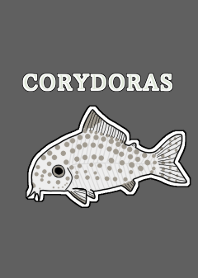 Corydoras