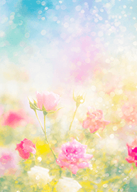 Beautiful rose flower(R3759)