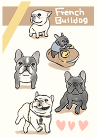 bulldog Perancis yang sangat lucu