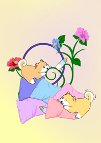 愷恩本土狗寶寶