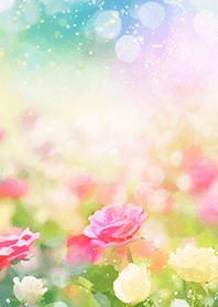 Beautiful rose flower(R5988)