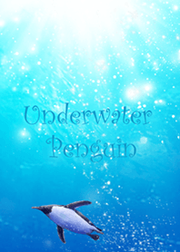 Underwater Penguin
