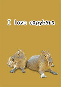 Capybara love 2 dress up