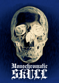 Monochromatic skull <navy>