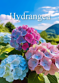 "Hydrangea vol.2" theme