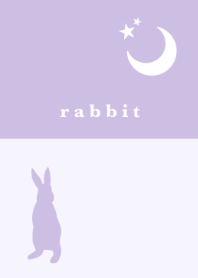 rabbit -purple-