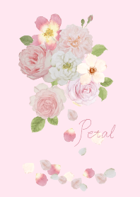 薔薇の花びら