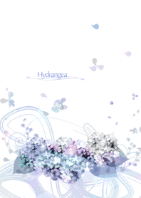 artwork_Hydrangea 3
