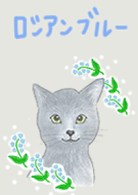 せみまりのロシアンブルー着せかえ