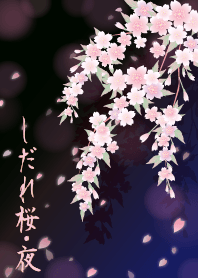 Weeping cherry blossoms night