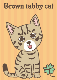 Brown tabby cat !! ver.6