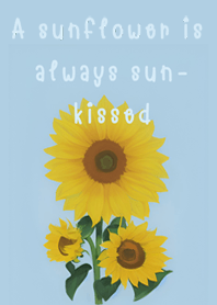 A sunflower is always sun-kissed