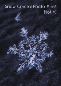 Snow Crystal Photo #15-6 Not AI