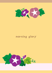 Morning glory flower day B&Y