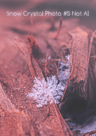 Snow Crystal Photo #5-21Not AI